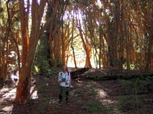 antes de argentina 108