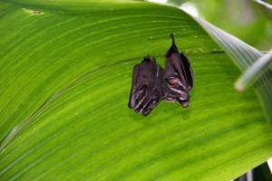 1523789_10202622415620149_1226234990_o