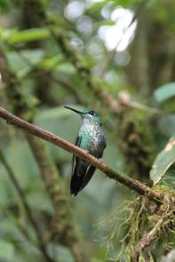 1553476_10202676647735918_1147734826_o