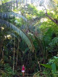 1496235_10202676655456111_566707730_o