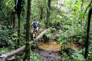 1506262_10151819994596701_2132840304_o