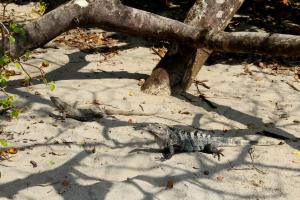 1540364_10202676681456761_312131883_o