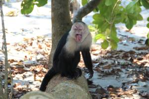 856764_10202676654936098_500066503_o