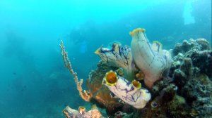 1-Fullscreen capture 162015 122918 AM