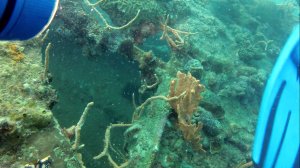 4-Fullscreen capture 162015 121003 AM