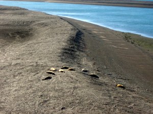 antes de argentina 059