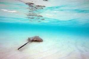 3-Fullscreen capture 7182016 101216 PM