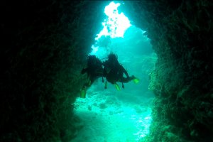 02-232-05-amazing_holmes-reef