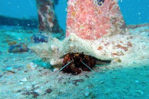 01-005-Screen Shot 2016-08-06 at 10.08.25 PM