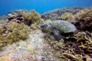 04-027-Screen Shot 2016-08-06 at 10.32.26 PM