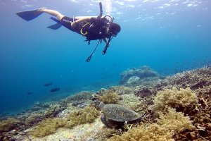 05-028-Screen Shot 2016-08-06 at 10.33.50 PM