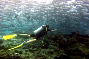 08-042-Fullscreen capture 882016 121954 AM