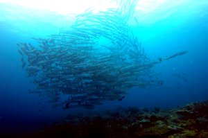 10-052-Fullscreen capture 882016 122751 AM