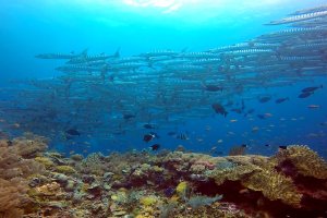 13-064-Fullscreen capture 882016 123749 AM