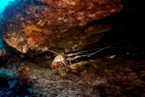 15-076-Fullscreen capture 882016 10409 AM