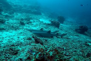 16-079-Fullscreen capture 882016 11332 AM