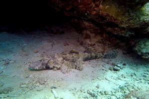 20-104-Screen Shot 2016-08-07 at 1.09.23 AM