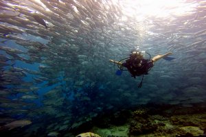 24-128-Screen Shot 2016-08-07 at 1.22.03 AM