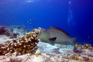 25-143-Screen Shot 2016-08-07 at 8.22.53 AM