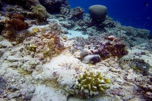 26-146-Screen Shot 2016-08-07 at 1.16.30 AM