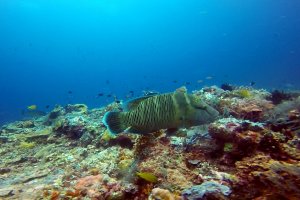 27-173-Screen Shot 2016-08-07 at 8.58.11 AM