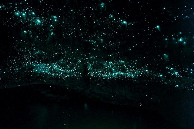 4-012-012-Spellbound Glowworms at end of cave