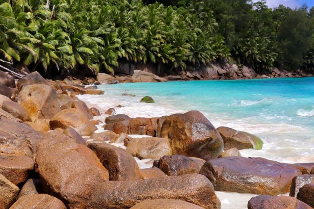 201905 Seychelles (16s)